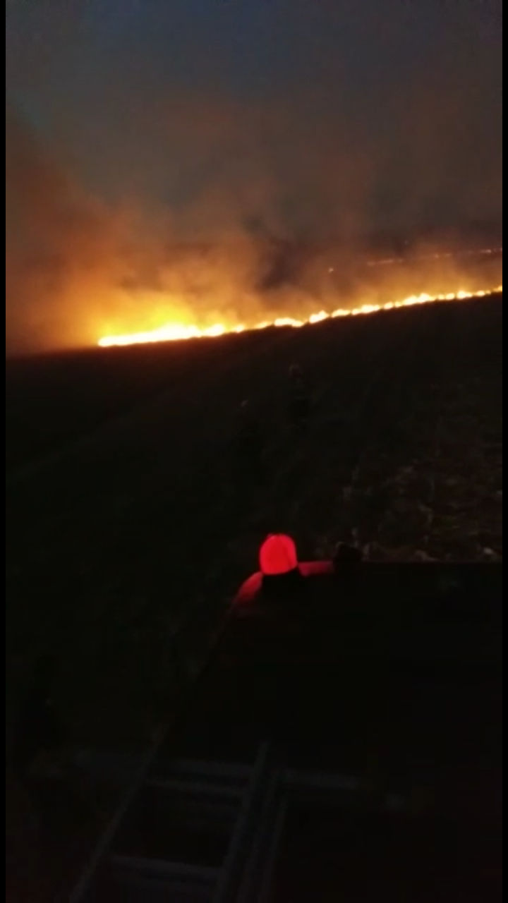 Incendiu de vegetatie pe 20 de hectare, la Leordeni 1