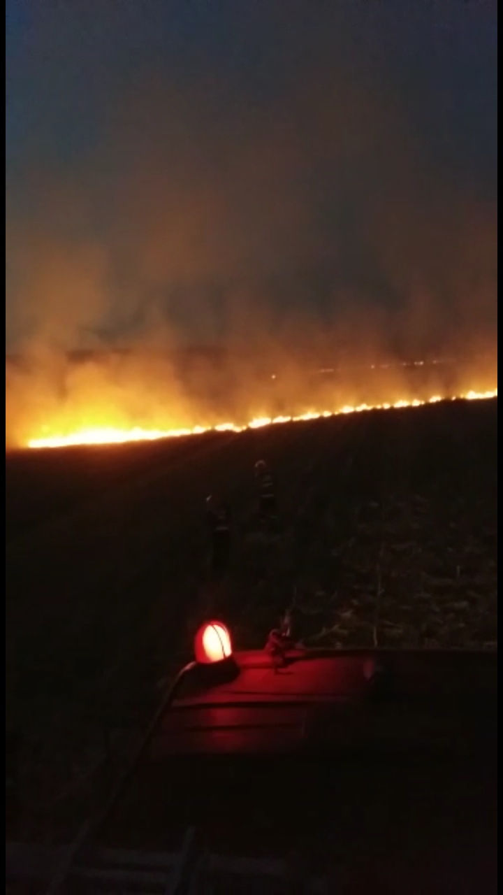 Incendiu de vegetatie pe 20 de hectare, la Leordeni