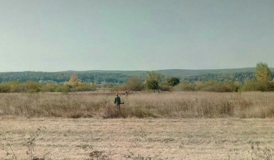 italian prins la braconaj in Arges 1