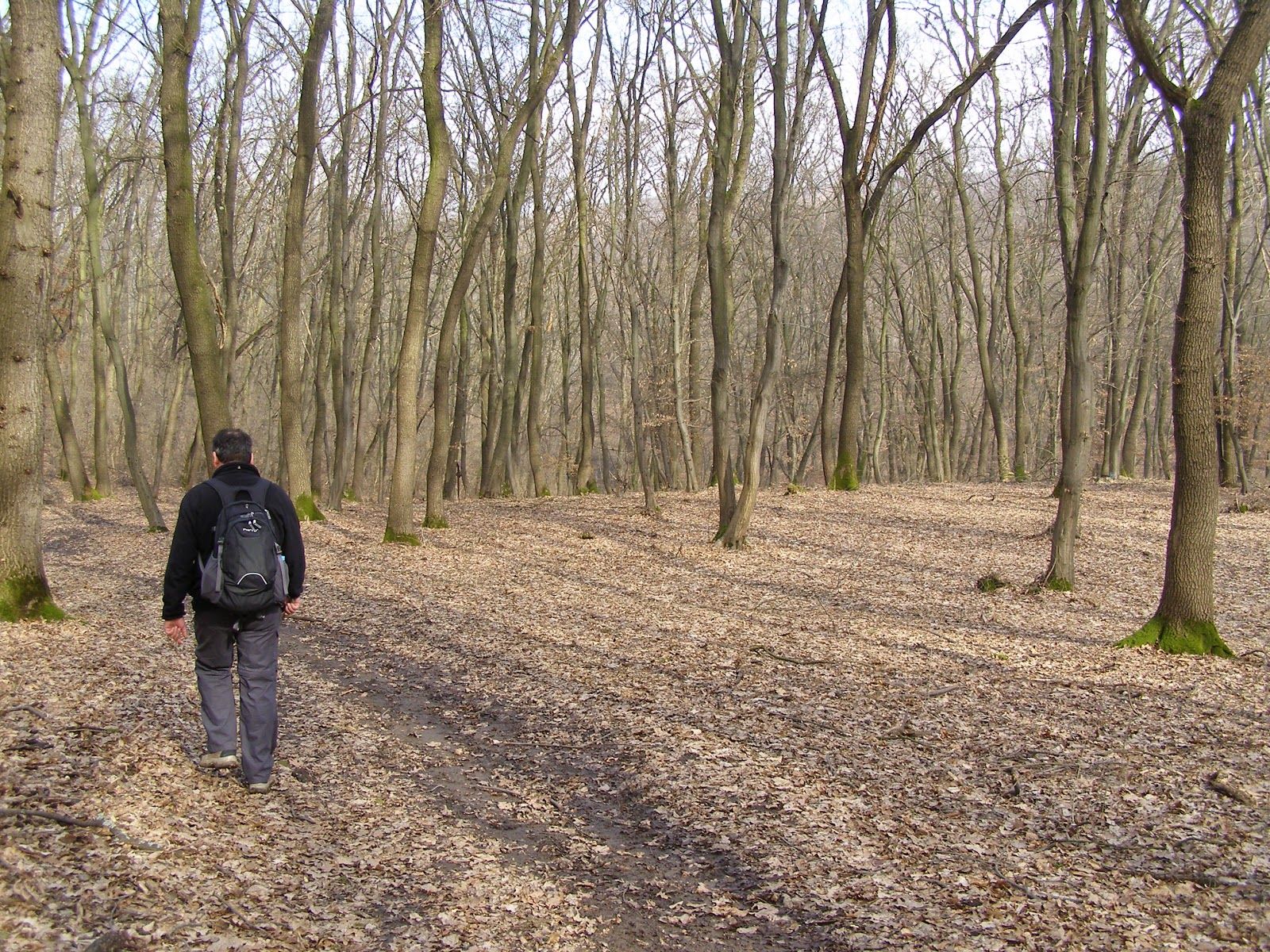 Disparutul a mers pe jos aproximativ 30 de kilometri
