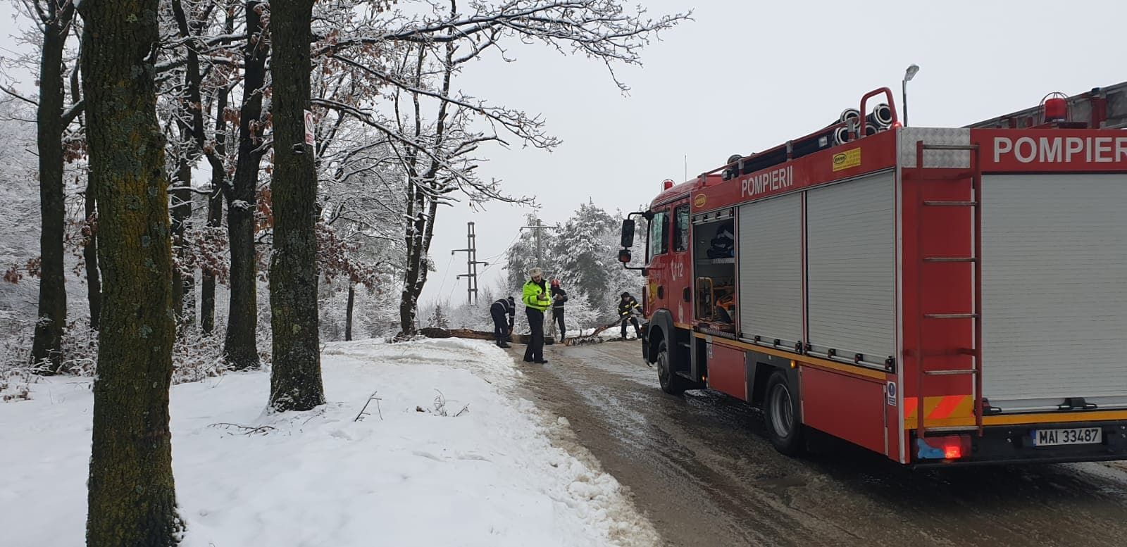 Strada plopilor blocata de un copac cazut pe carosabil