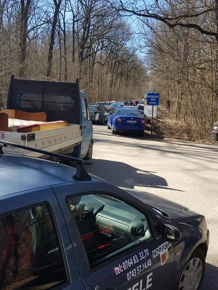 Linie de autobuz carte Zoo Pitești.1