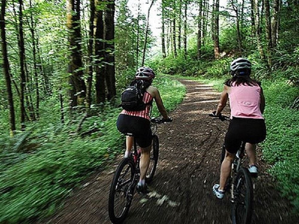 piste de biciclete prin pădure