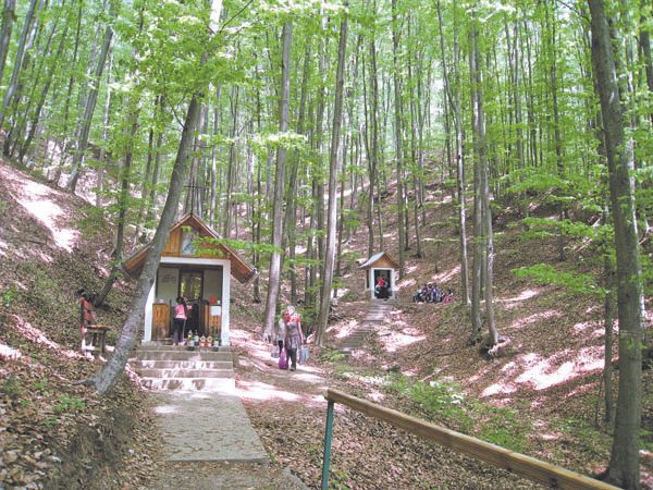 Biserica Izvoarelor de Leac.1