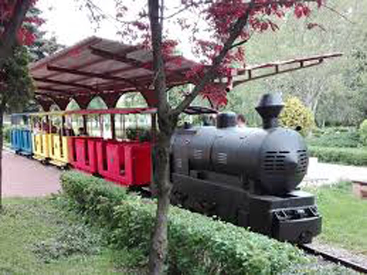 De Ziua Copilului plimbare gratuita cu trenuletul