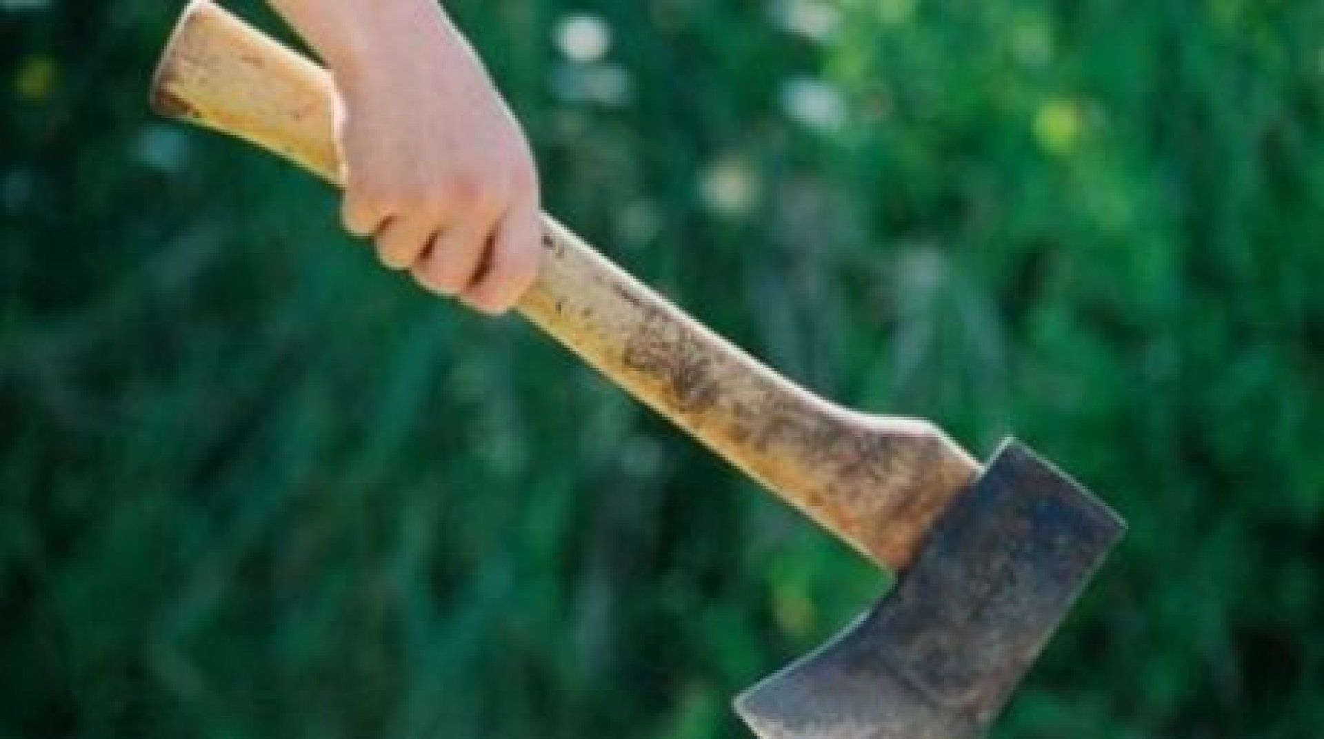 Si-a atacat nepotul cu toporul