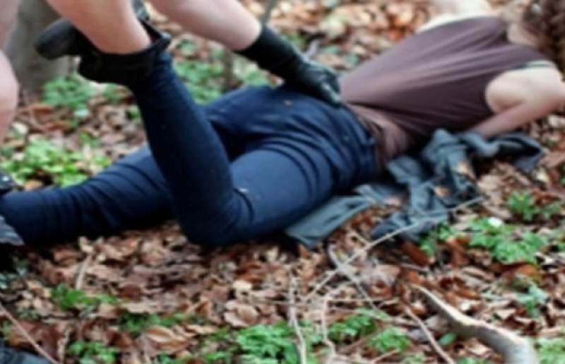 Tânără violată la Curtea de Argeş