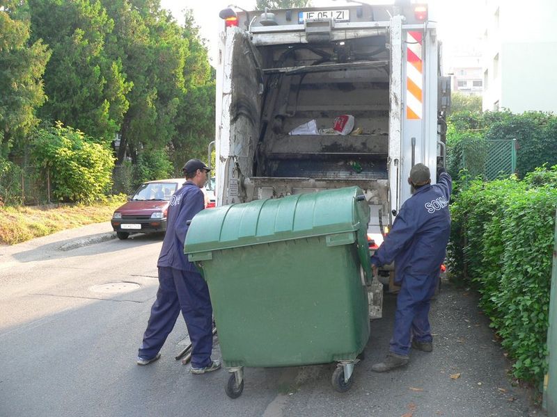 datornici salubritate