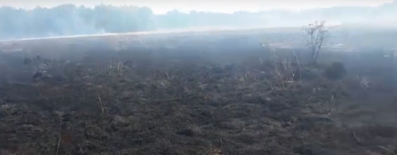 incendiu vegetație uscata