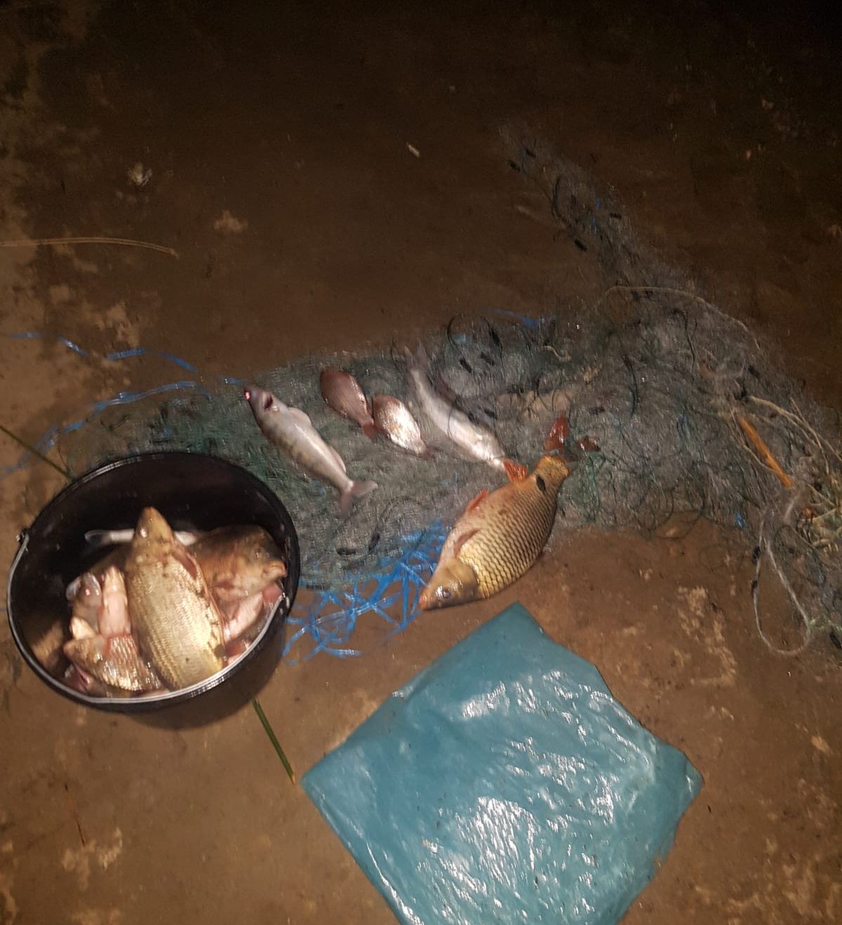 pescari braconaj la Ungheni