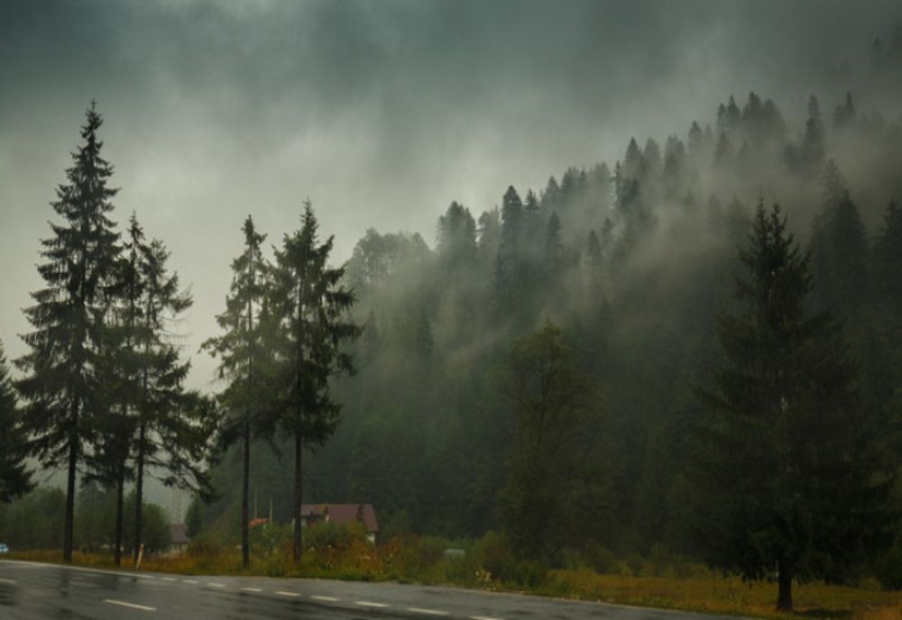 Cod roșu de vânt puternic în zonele montane din Argeș
