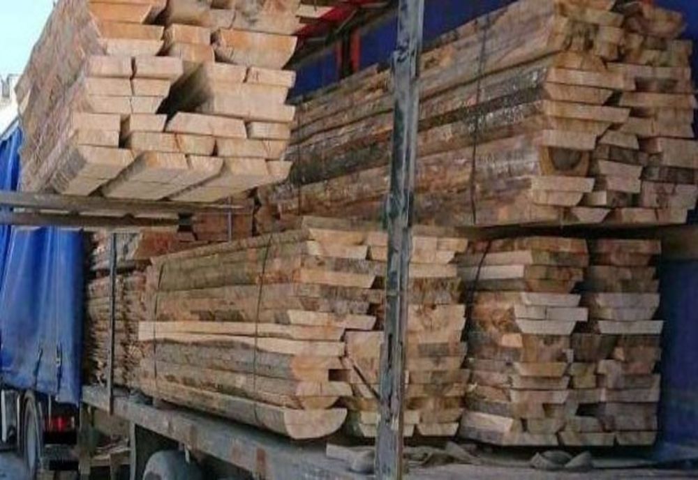 Sancțiuni drastice pentru o firmă din Domnești! A fost confiscată o cantitate de 350 metri cubi de lemn