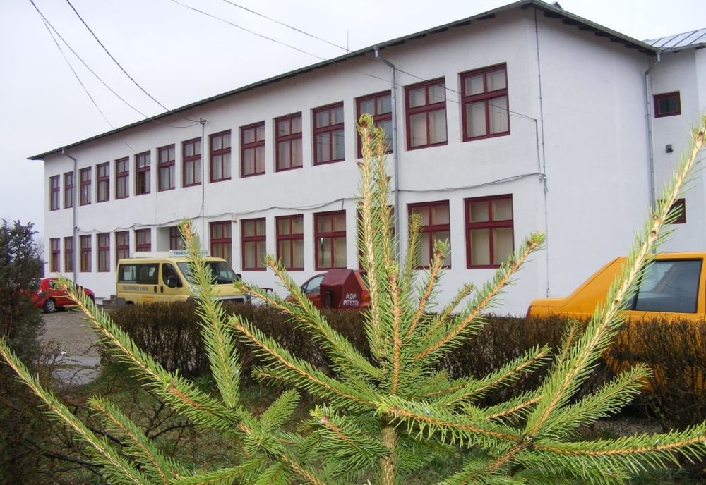 12 şcoli din Argeş închise din cauza condiţiilor meteorologice!