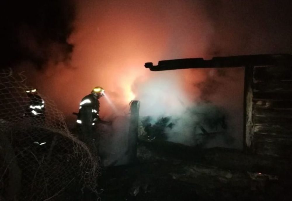 Şapte cai au murit într-un incendiu la Pitești!