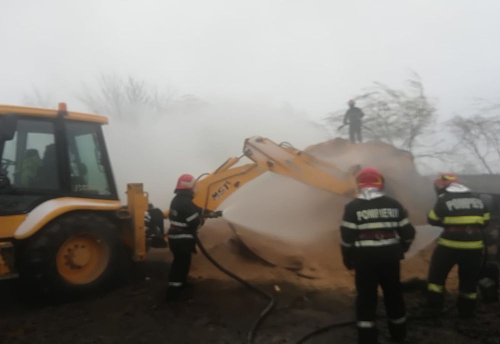 Incendiu la o fabrică de peleți și un adăpost de animale din Argeș!