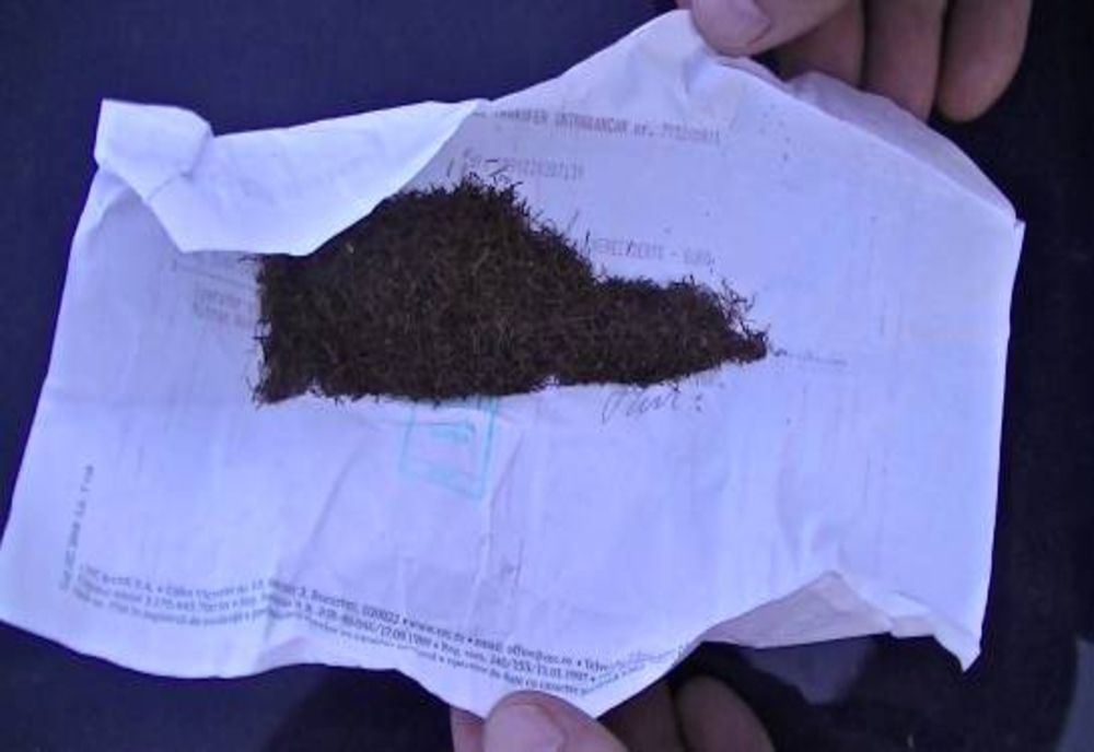 Jandarmii argeșeni au prins trei tineri cu droguri! 