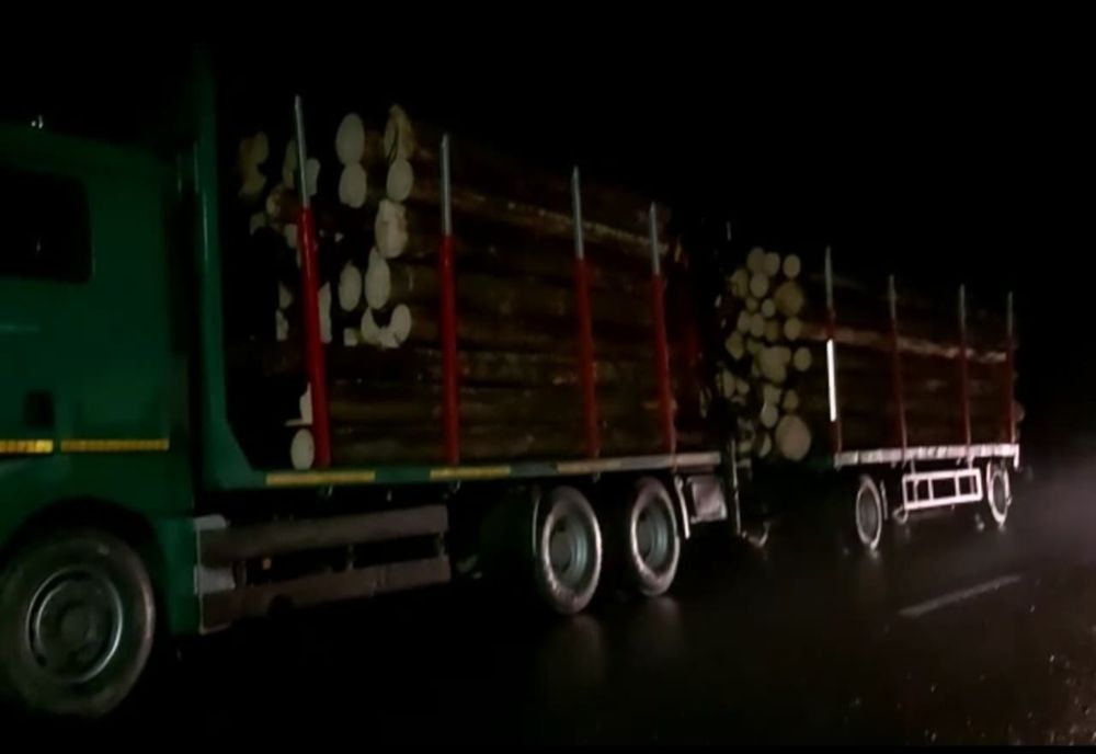 Video-Şoferul a fugit lăsând un camion cu lemne în mijlocul drumului