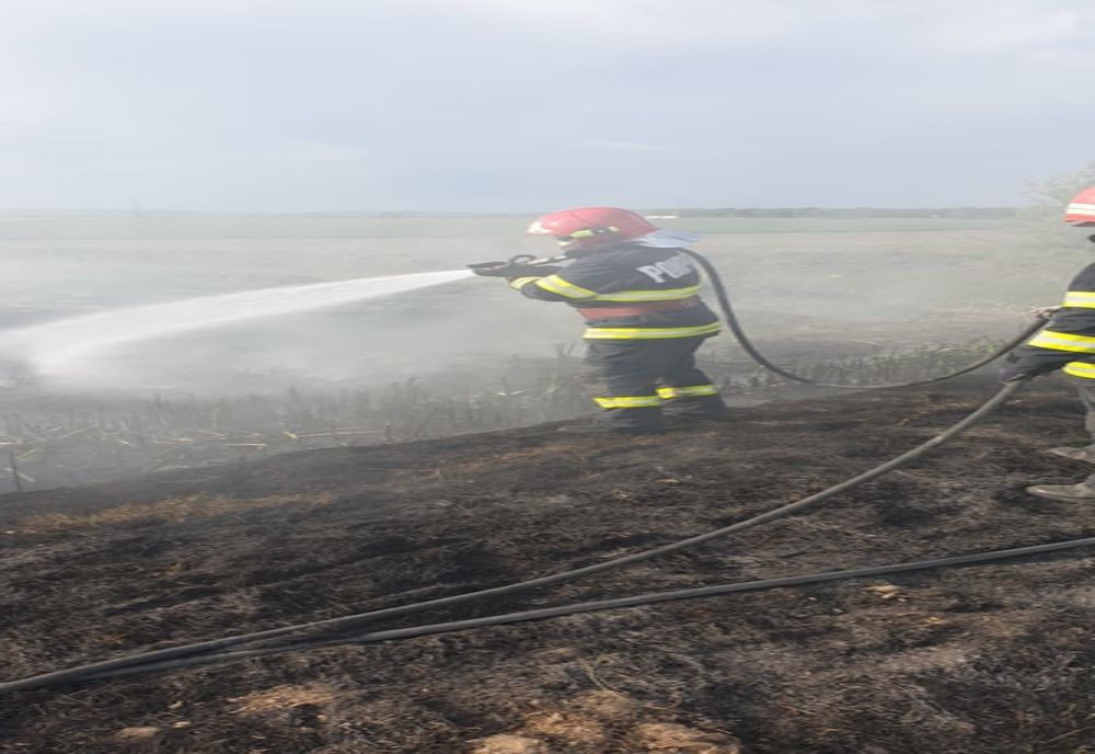 VIDEO-Arde un canal cu reziduuri la km 102 pe A1 