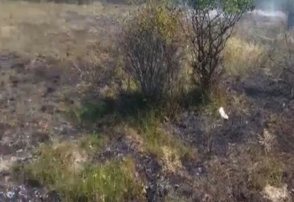 Incendiu de vegetație în Argeș