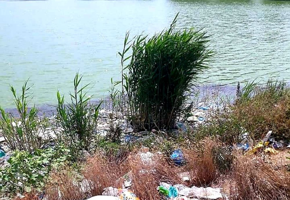 Stop poluării mediului!