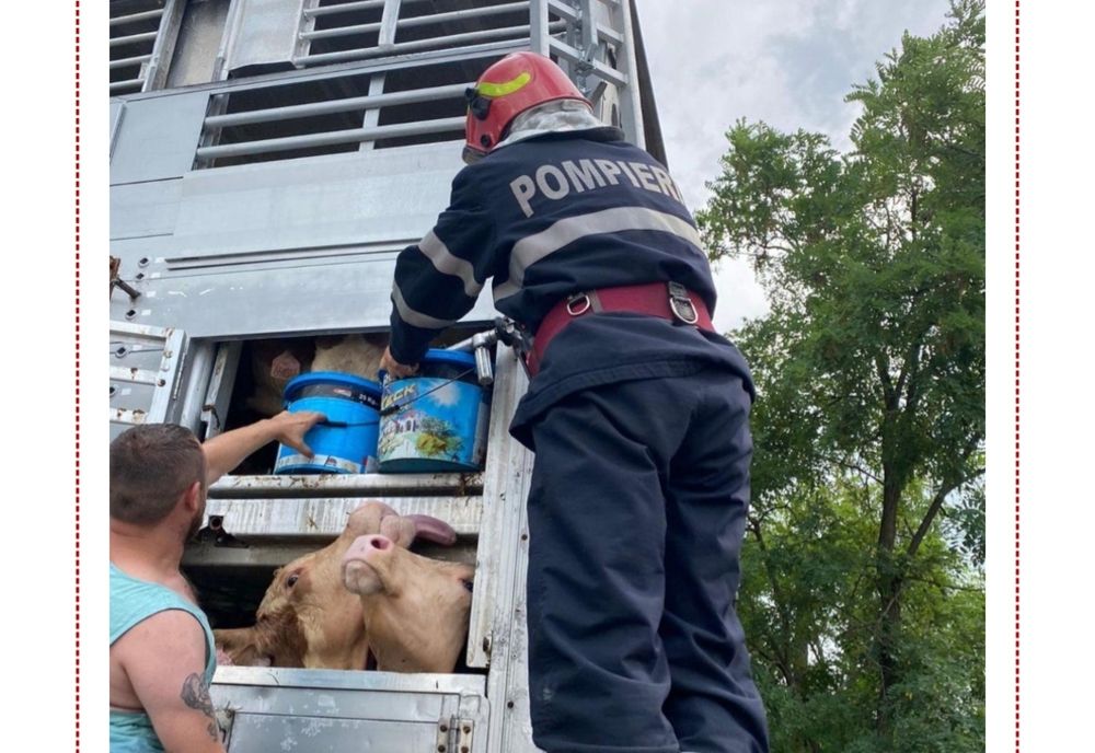 O misiune impresionantă în Dedulești