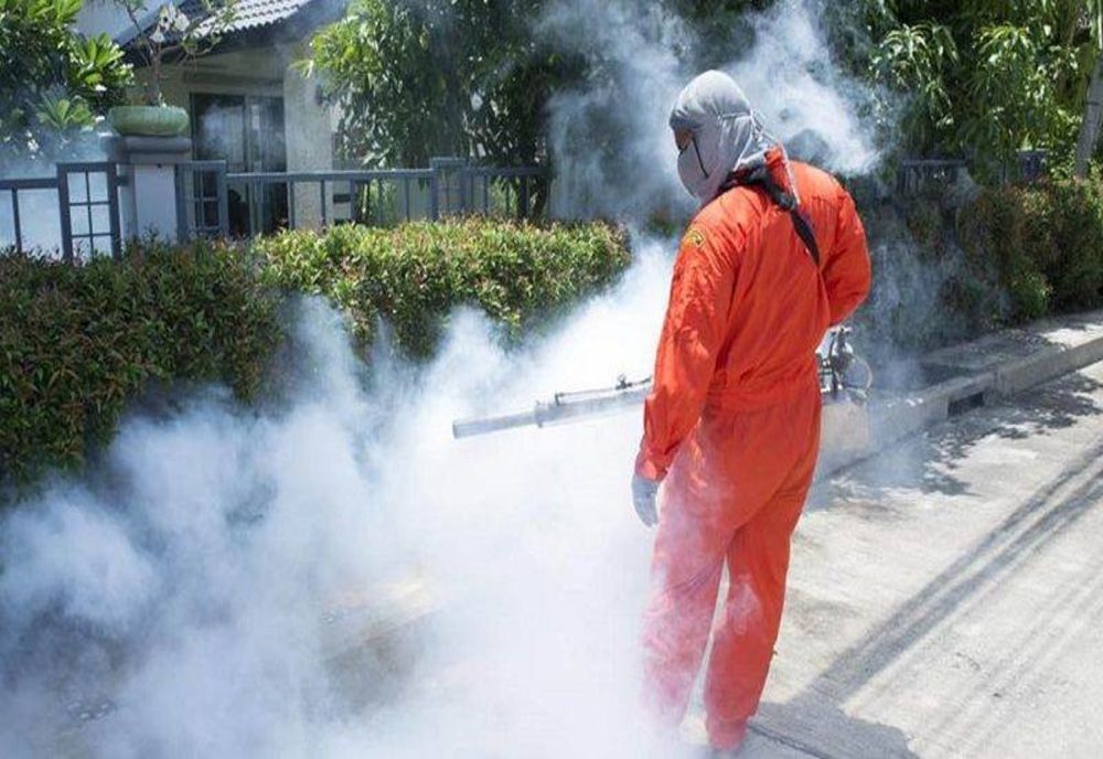 Dezinsecție în Pitești. Când va începe