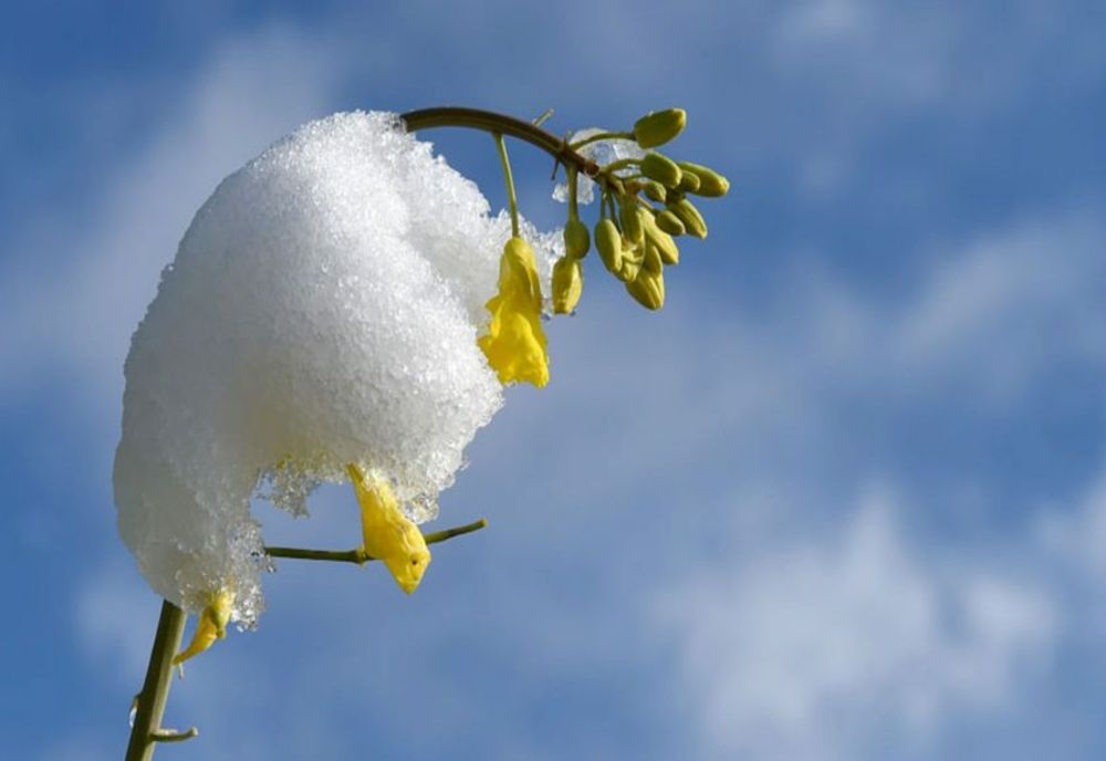 Temperaturi fără precedent în România în ajun se Bobotează