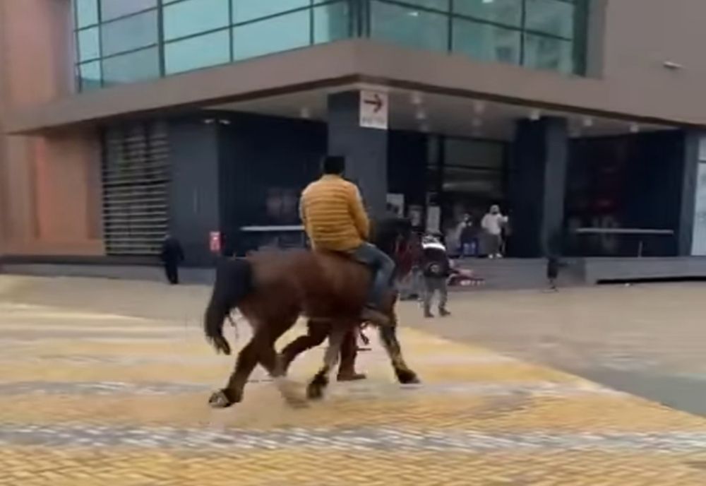 Călare în mijlocul orașului