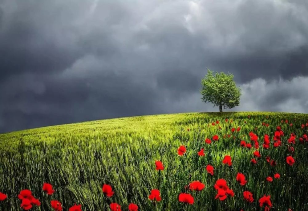 Ce temperaturi maxime vom avea astăzi în țară