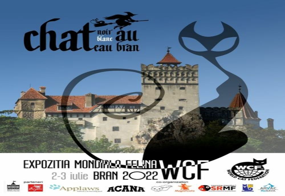 Aproape 150 de pisici de rasă pot fi admirate, în weekend, la Castelul Bran