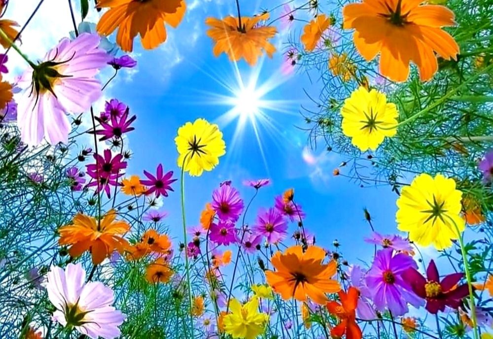 VREMEA SE ÎNCĂLZEȘTE. TEMPERATURI DE VARĂ ÎN ROMÂNIA