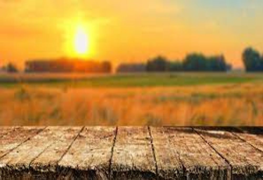 IANUARIE 2025, CEA MAI CALDĂ LUNĂ IANUARIE DIN ISTORIE, LA NIVEL PLANETAR