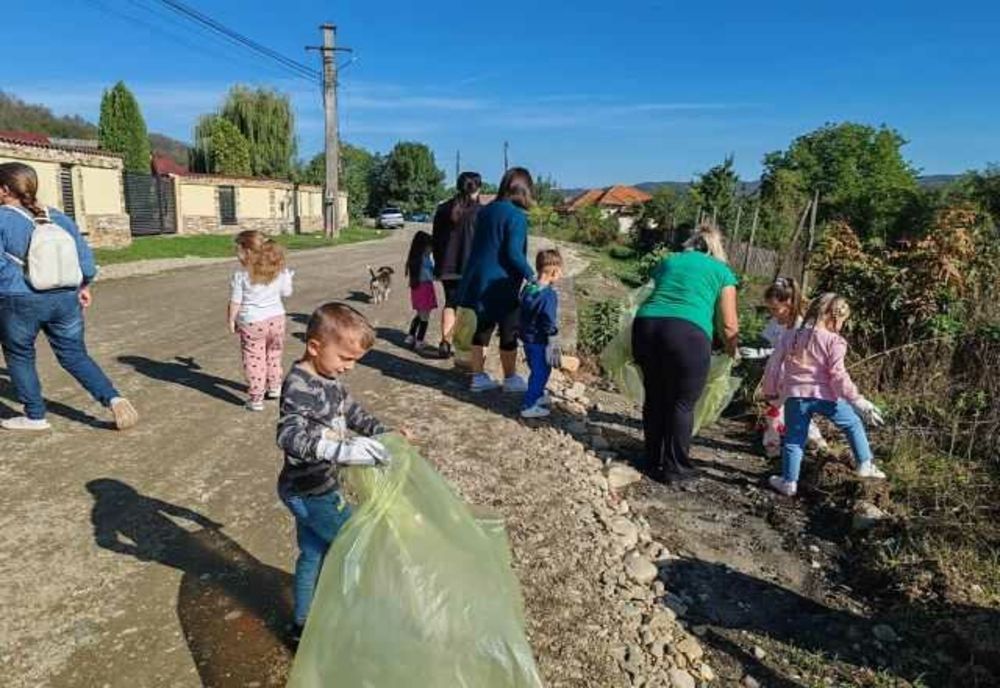 EXEMPLU DE TITLU RECRIS
