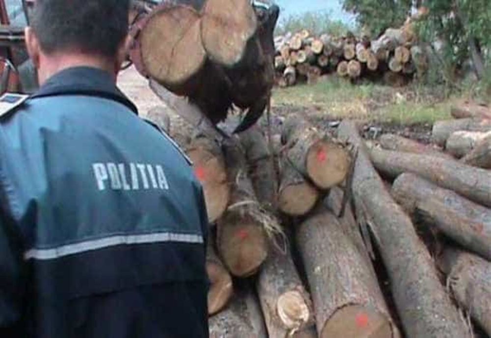 O SOCIETATE COMERCIALĂ DIN DRĂGANU, SANCȚIONATĂ PENTRU DETENȚIE ILEGALĂ DE LEMN