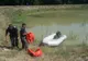 Cadavrul unui bărbat a fost descoperit pe marginea râului Doamnei