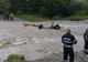 Video-Căruţa cu 3 persoane prinsă de viitură. Oamenii şi caii în vâltoarea apelor