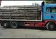 Un camion cu lemne a fost confiscat. Şoferul a  comis mai multe infracţiuni