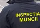Patroni amendaţi pentru munca la negru! Zeci de societăţi vizate