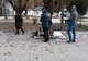 Găsit mort pe o bancă într-un parc din Câmpulung! Ar fi decedat din cauza frigului