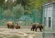 La Grădina Zoologică Piteşti se scumpesc biletele pentru vizitatori