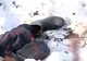 Moarte suspectă, la Leordeni! Bărbatul zăcea fără suflare în zăpadă