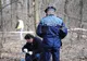Juristul dispărut se spânzurase! Cadavrul găsit în pădurea Trivale