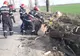 Cod galben de vânt în 57 de localități din Argeș! Copaci căzuți pe carosabil, în Buzoești