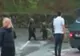 Video - O familie de urși a coborât printre turiști, la un hotel de lângă Barajul Vidraru