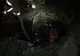 Cal căzut într-o groapă la Mioveni, salvat de pompieri