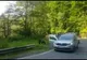 Video- Turiști inconștienți! La doi metri de urși pentru un selfie