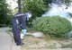 Stropiri împotriva dăunătorilor, în Piteşti, în perioada următoare