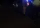 Cal omorât pe șosea de mașină! O șoferiță a ajuns la spital