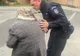 Bătrână rătăcită, găsită de jandarmi