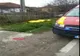 Accident mortal la Valea Iașului! 
